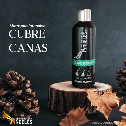Secreto de Ángeles™ – Shampoo Cubre Canas con Regalos Exclusivos