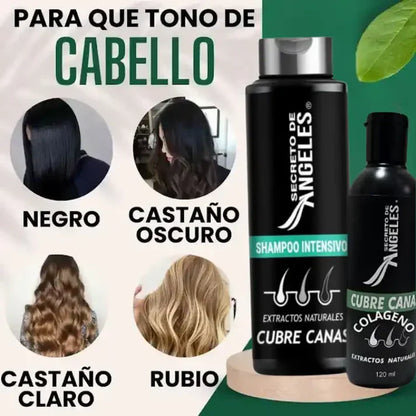 Secreto de Ángeles™ – Shampoo Cubre Canas con Regalos Exclusivos